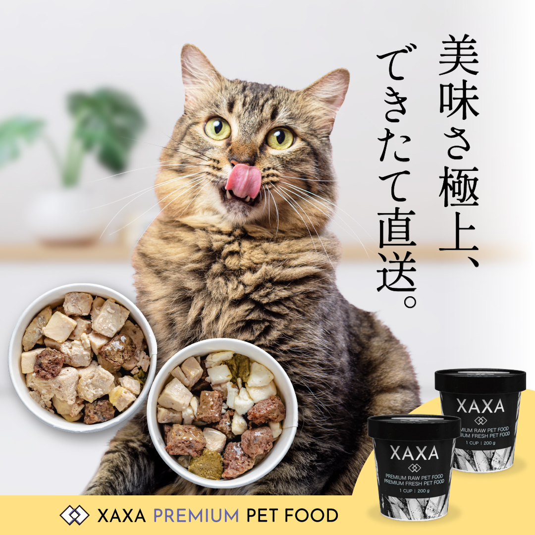 キャットフード