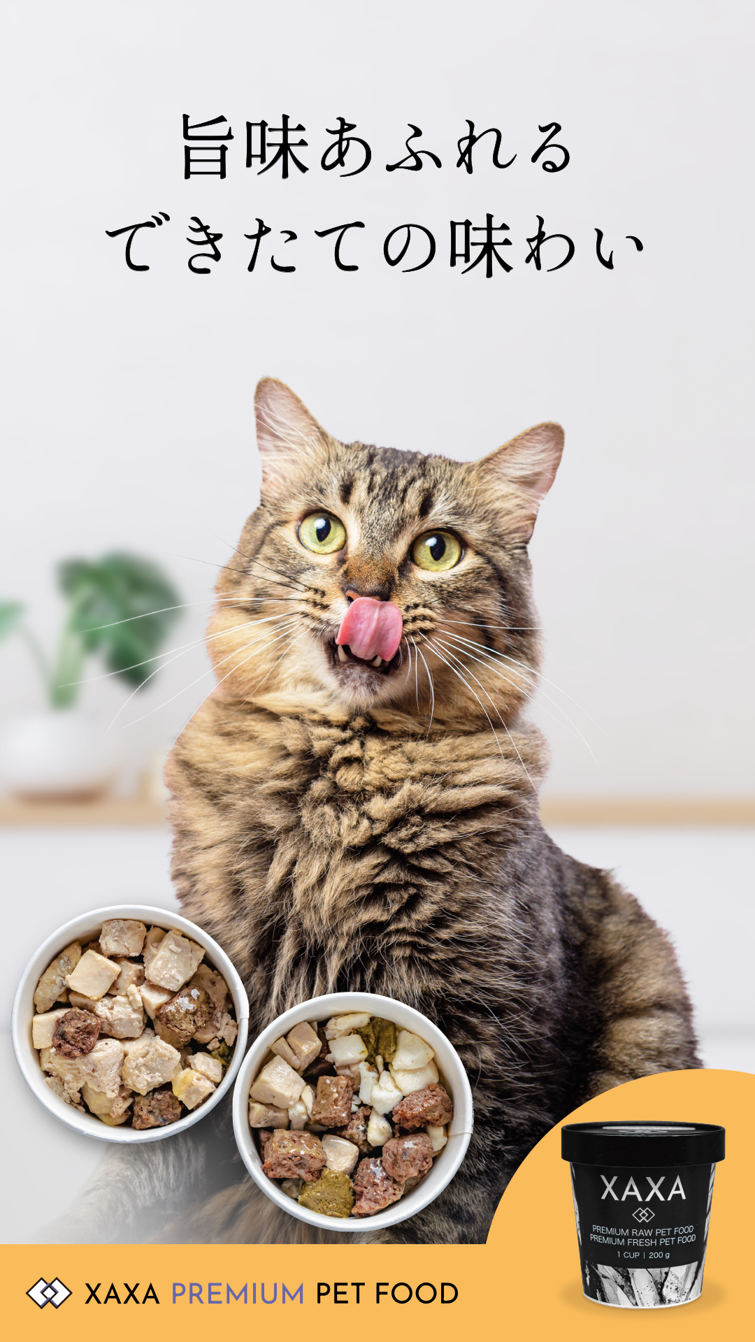 キャットフード